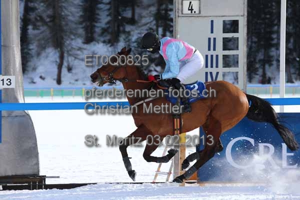 ET0Q0825 prot